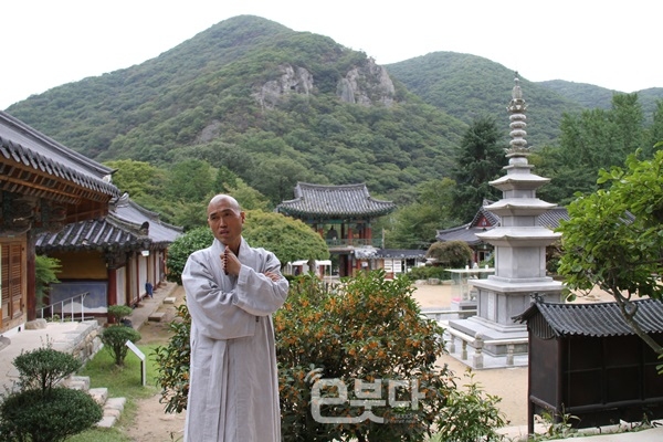 장안사, 개산 맞아 국화축제·공연·전시 삼박자 향연
