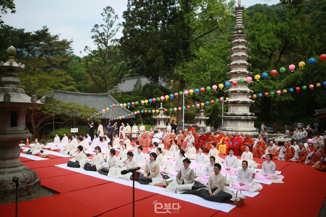 ‘쌍계사 차문화대축전’이 11일부터 13일까지 3일간 쌍계사 및 차나무 시배지 일원에서 개최됐다.